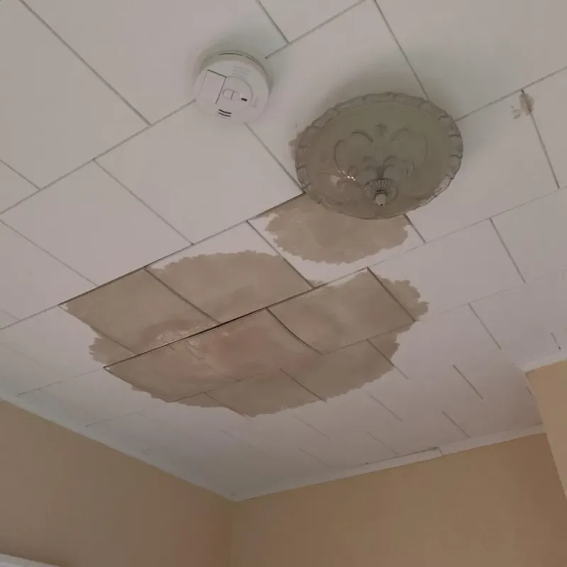 Ceiling Water Damage Repair in Eddington, ME