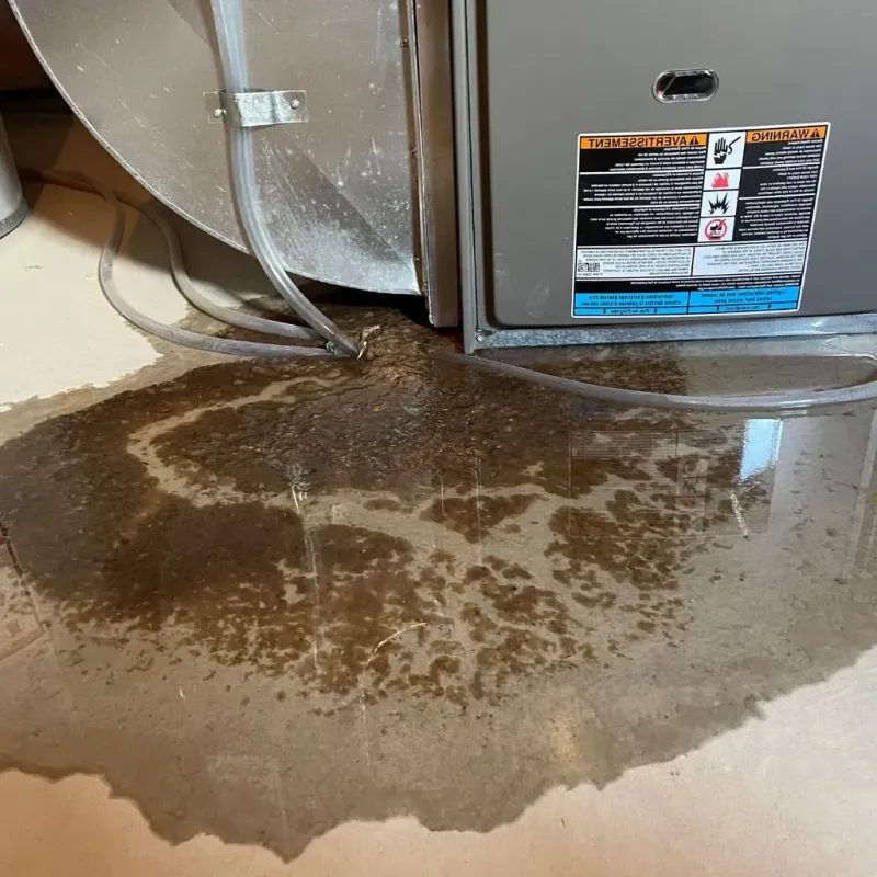 Pipe Burst and Leak Restoration in Eddington, ME
